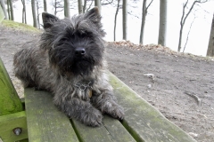 Ronia og Dittie i skoven og på stranden ved Moesgaard